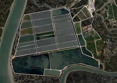 Proyecto de ampliación de bombeo en piscifactoría e informe ambiental del mismo en Marismas de San Miguel, Cartaya